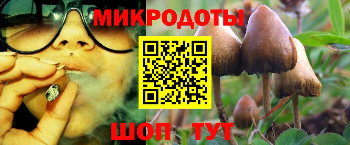 Юрга  Псилоцибиновые грибы прущие грибы  цена наркотик  Вход с VPN 