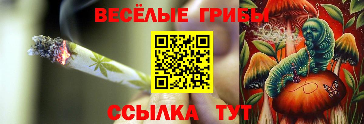 Псилоцибиновые грибы Psilocybine cubensis Юрга